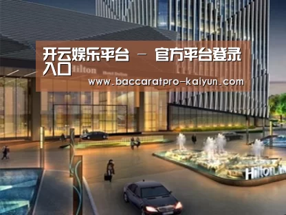 案例展示二