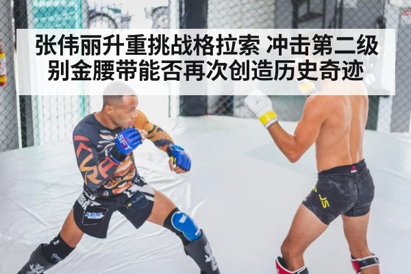张伟丽升重挑战格拉索 冲击第二级别金腰带能否再次创造历史奇迹